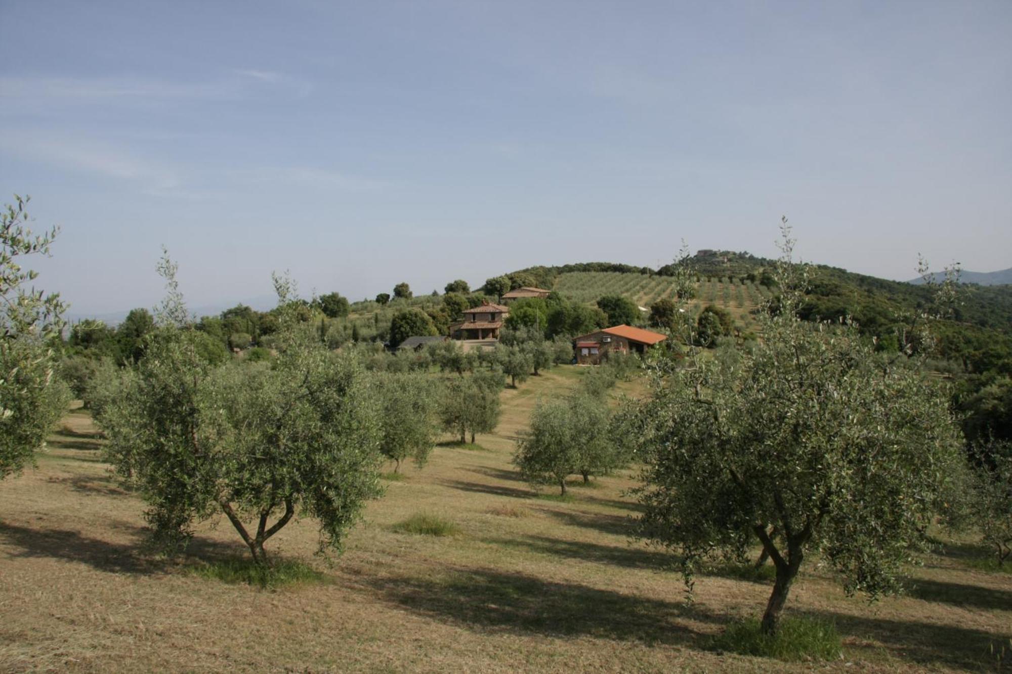 The Country House Montali 타베르넬레 외부 사진