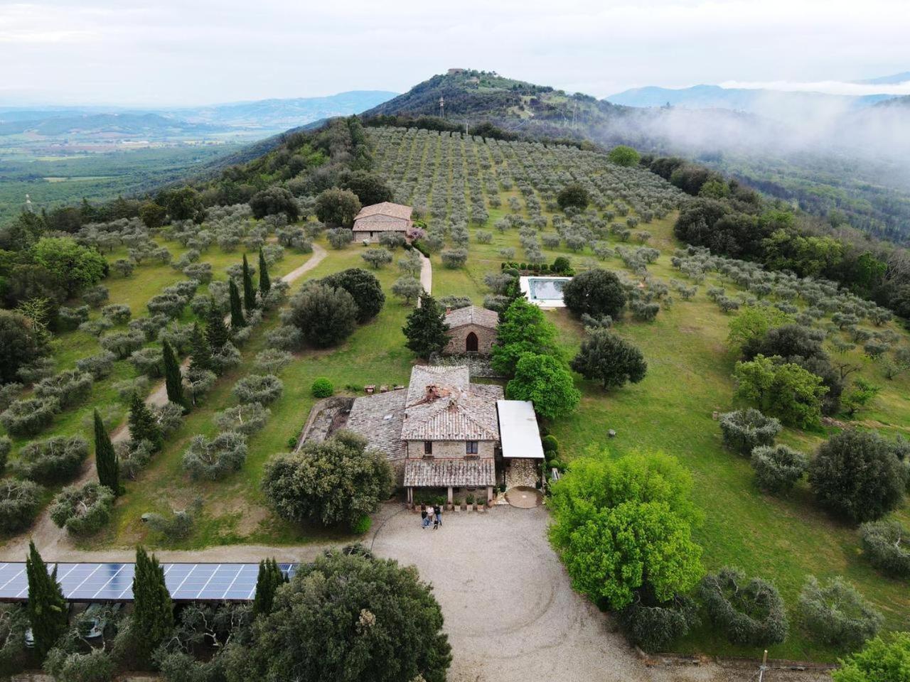 The Country House Montali 타베르넬레 외부 사진