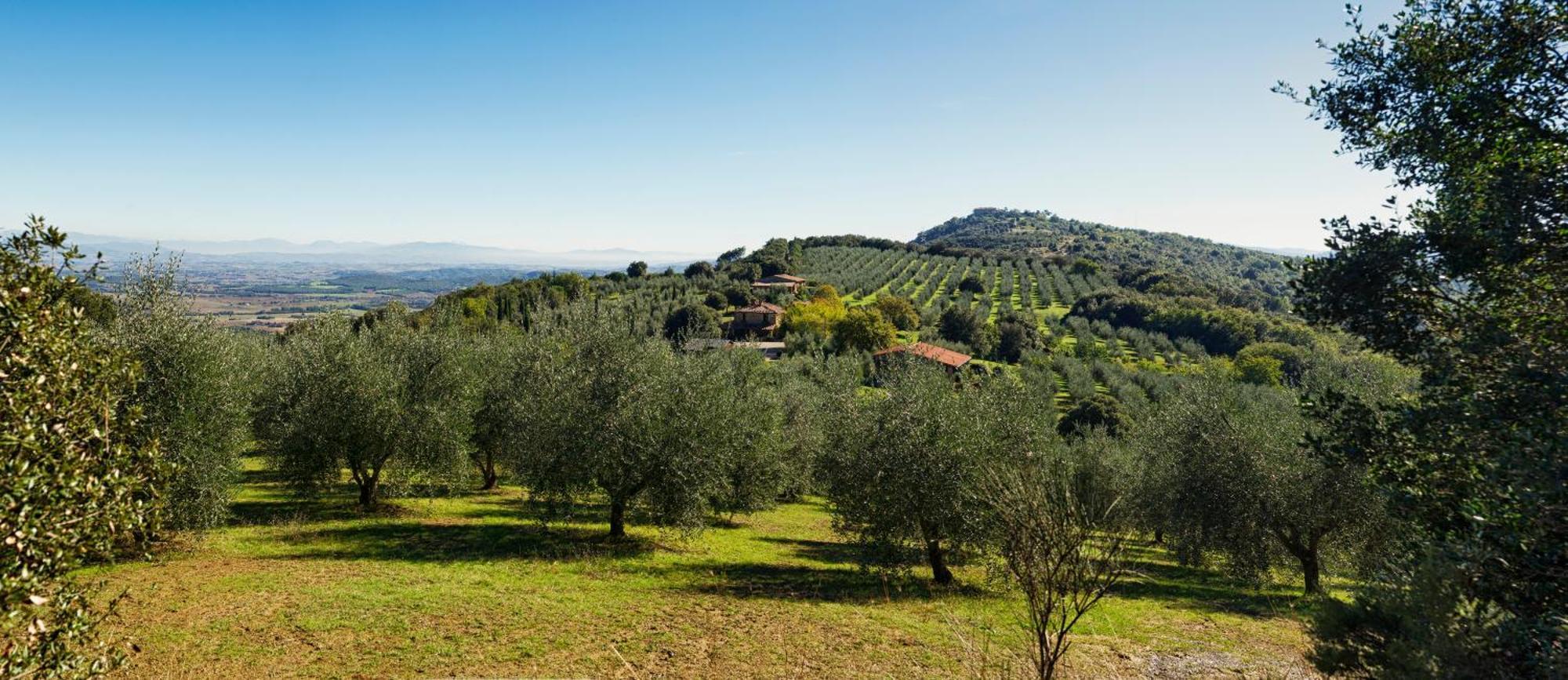 The Country House Montali 타베르넬레 외부 사진