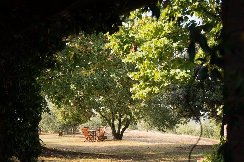 The Country House Montali 타베르넬레 외부 사진